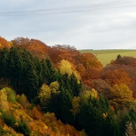 Mit Ausblick