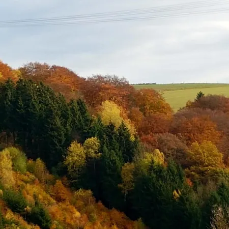 Mit Ausblick