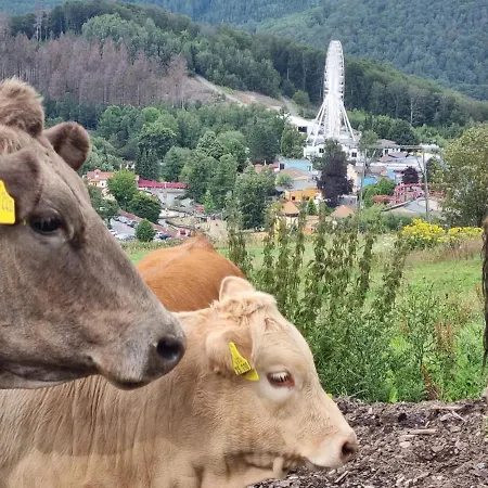 Vakantiehuis Mit Ausblick Brilon