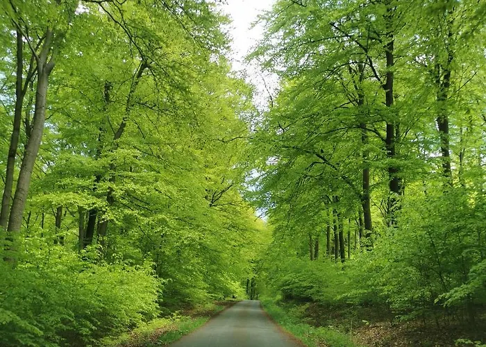 Mit Ausblick Nyaraló