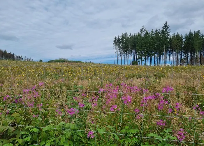 Nyaraló Mit Ausblick